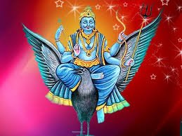 श्री शनि चालीसा